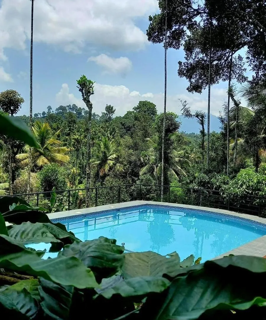 3 Bhk Villa Pool Breakfast Meppadi 0*,